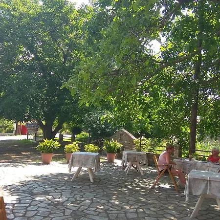 Kanarinia Penzion